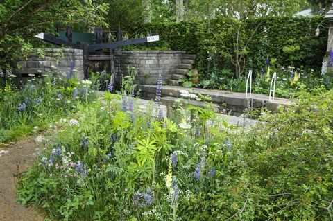 Chelsea Flower Show 2019 - Tervetuloa Mark Gregoryn Yorkshiren puutarhaan