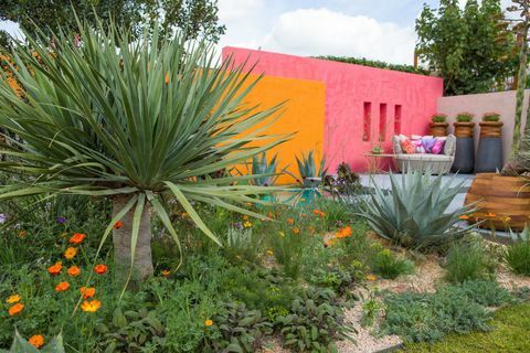 Sisämaankodit: Meksikon taivaan alla. Suunnittelija: Manoj Malde. Sponsoroi: Inland Homes Plc. RHS Chelsea Flower Show 2017