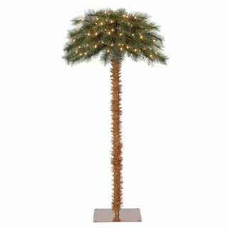 Trooppinen joulun palmu 