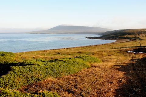 Maisema lähellä Pebble Island Lodge, Pebble Island / Falklandinsaaret