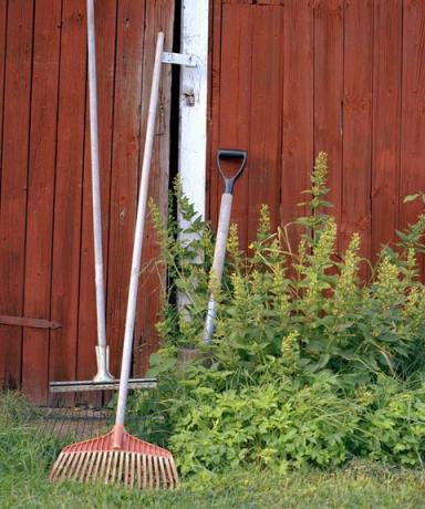 puutarhatyökalut nojaten irtoa seinään