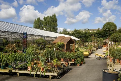 puutarhakeskus Knutsfordissa, Cheshire, Iso-Britannia