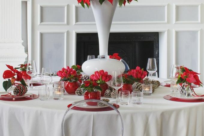 joulutähtillä koristeltu ruokapöytä
