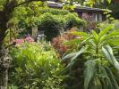 Entinen puutarhasuunnittelija luo upean 'Olympic Garden'in kotonaan
