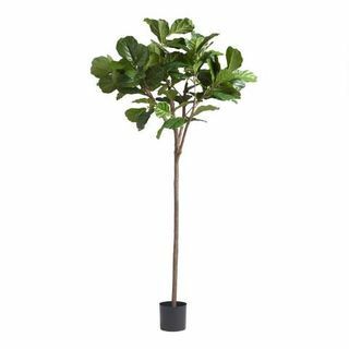 6 Jalka Faux Fiddle Leaf Fig 