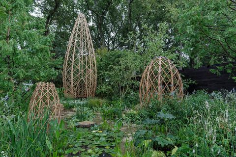 rhs chelsea -kukkaesitys 2021 show gardens