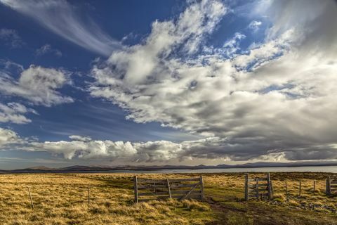 Aita ja pilvet myöhään iltapäivällä valossa, Pebble Island, Falklandinsaaret