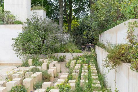 M&G-puutarha. Suunnittelija: James Basson. Tukee: M&G Investments. RHS Chelsea Flower Show 2017.