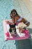 Nämä ylelliset koiran uima-altaalla varustetut koirat ovat koiranpentujen uusi suosikkilelu