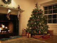 Todellinen vs. Väärennetyt joulukuuset: mikä sopii kotiisi?