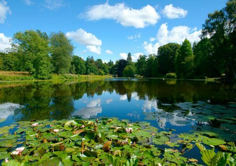 Vaaleanpunainen mökki Weston Parkissa