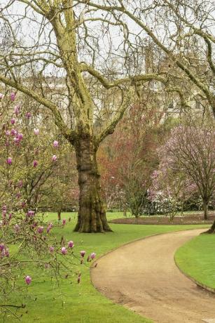 Buckinghamin palatsin puutarhat paljastettiin uudessa kirjassa