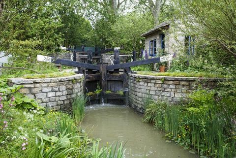 Chelsea Flower Show 2019 - Tervetuloa Mark Gregoryn Yorkshiren puutarhaan