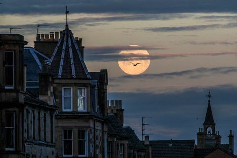 Vaaleanpunainen Supermoon