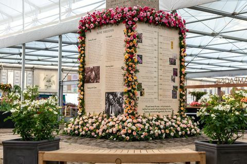 David Austin Roses -monumentti, Chelsea Flower Show 2019