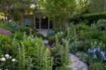 Chelsea Flower Show: Osta kasveja Chris Beardshaw's Gardenista