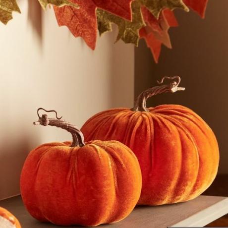 2 Velvet Pumpkin AutumnHalloween -koristeen setti 