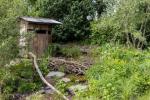 Chelsea Flower Show: Monty Don kysyy Winning Rewilding Garden