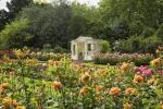 Buckinghamin palatsin puutarha avataan vierailijoille tänä kesänä