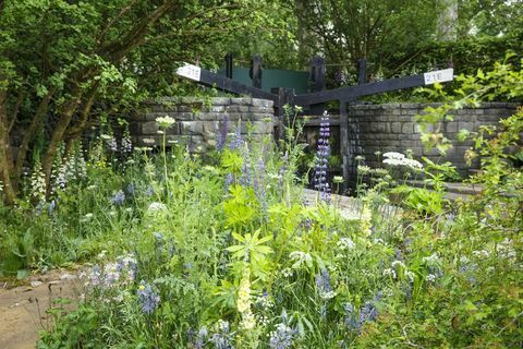 Chelsea Flower Show 2019 - Tervetuloa Mark Gregoryn Yorkshiren puutarhaan