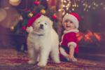 Lontoossa on tulossa koirien joulumarkkinat