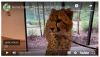 3 virtuaalista eläintarhamatkaa kyllästyneiden lasten viihdyttämiseen eristyksen aikana
