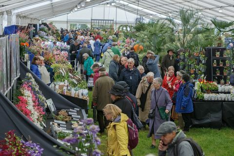 Vierailijat kukkatiloilla RHS Malvern Spring Festival 2019 -tapahtumassa.